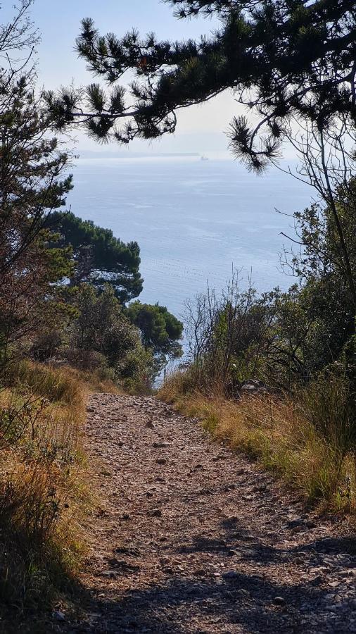 דירות אאוריזינה Panorama מראה חיצוני תמונה